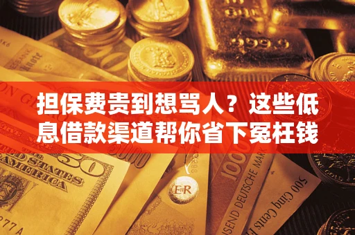 北京担保费贵到想骂人？这些低息借款渠道帮你省下冤枉钱