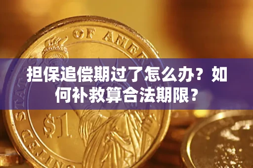 北京担保追偿期过了怎么办？如何补救算合法期限？