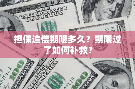 北京担保追偿期限多久？期限过了如何补救？