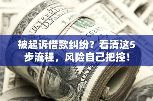 北京被起诉借款纠纷？看清这5步流程，风险自己把控！