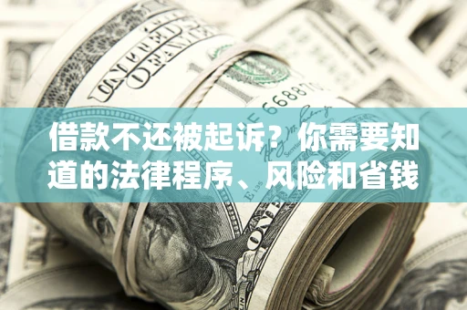 北京借款不还被起诉？你需要知道的法律程序、风险和省钱技巧