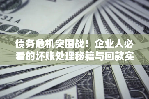 北京债务危机突围战！企业人必看的坏账处理秘籍与回款实战指南