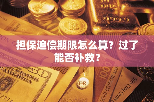 北京担保追偿期限怎么算？过了能否补救？